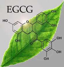 ECGC