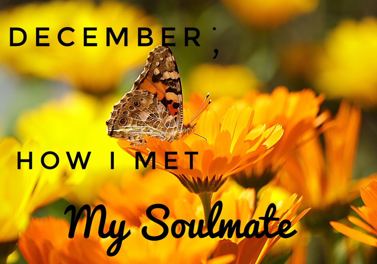 December: How I Met My Soulmate